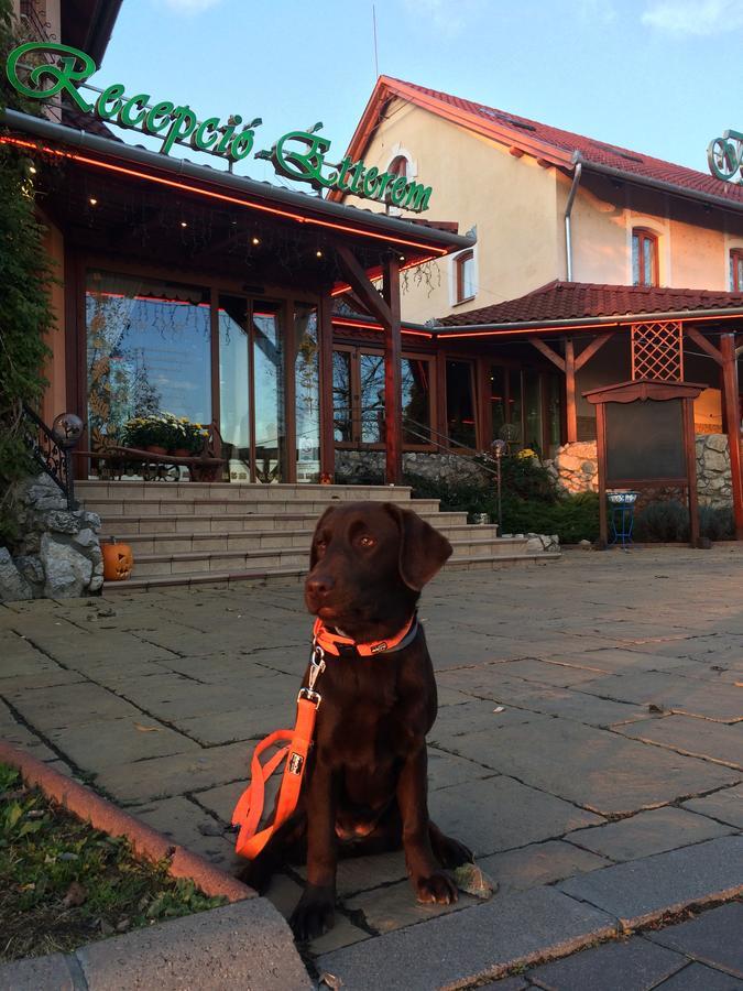 Istvan Parkhotel Es Gasztrofarm Sormas Экстерьер фото